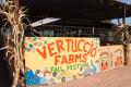 Vertuccio Farms